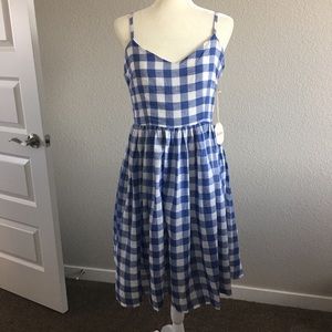 ModCloth gingham picnic dress